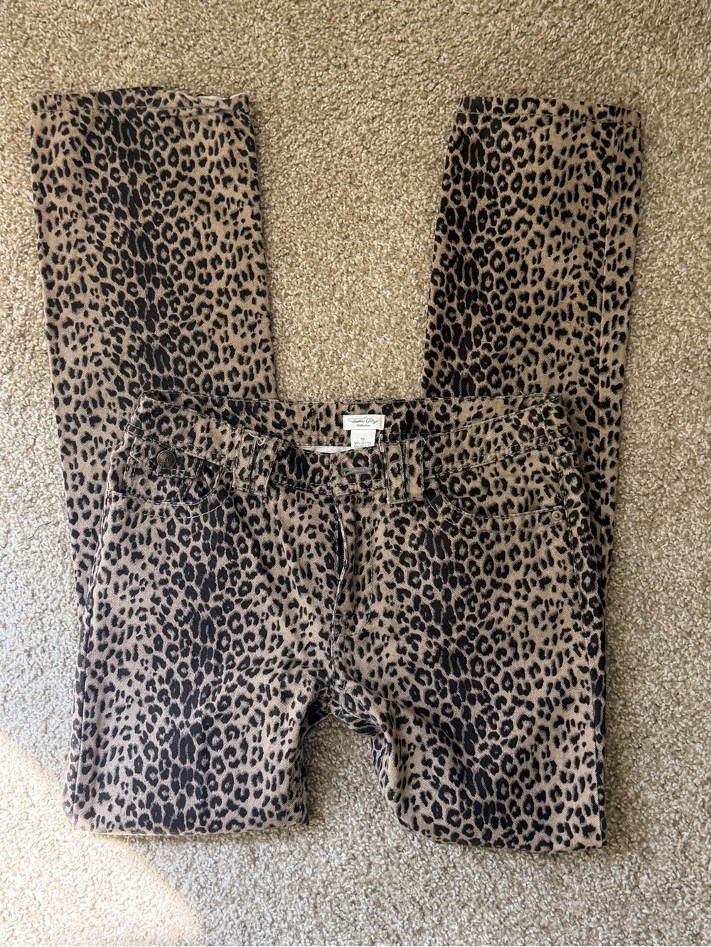 Taesha Polizzi Collection